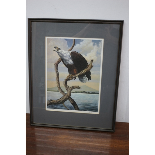 20 - Limited Edition Print of an Eagle Perched on a Branch - 399/600 - Signed - 53 X 43cm