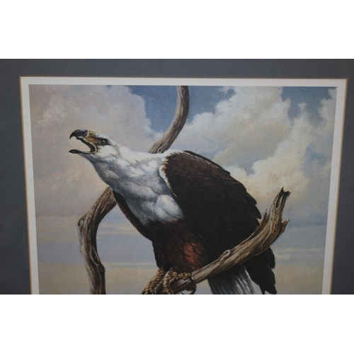 20 - Limited Edition Print of an Eagle Perched on a Branch - 399/600 - Signed - 53 X 43cm