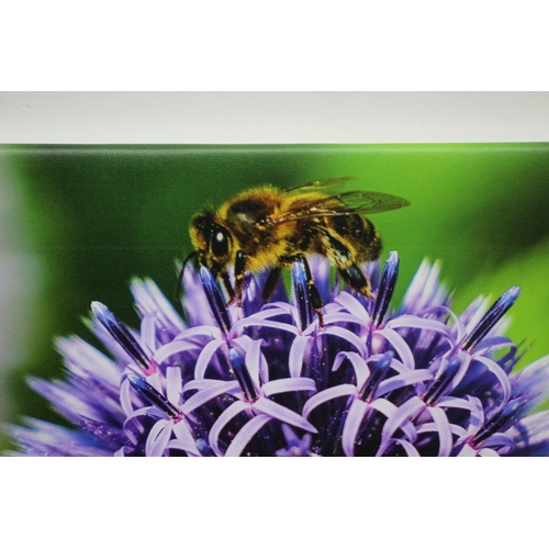 25 - Honey Bee on a Flower  - Original Photograph Transferred onto a Canvas and Mounted on a Stretcher Fr... 