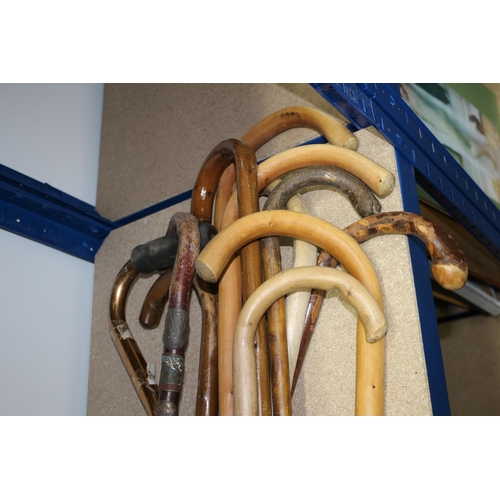 6 - Large Selection of Walking Sticks and Canes