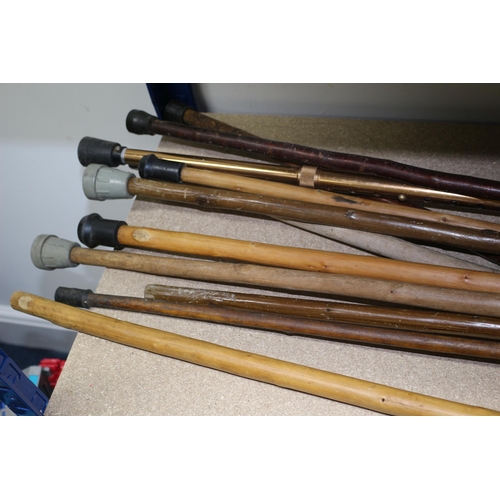 6 - Large Selection of Walking Sticks and Canes