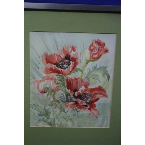 184 - Watercolour of Poppies, Signed, 48 x 38cm