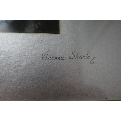 469 - Vivienne Shanley Signed Print 
56cm x 46cm