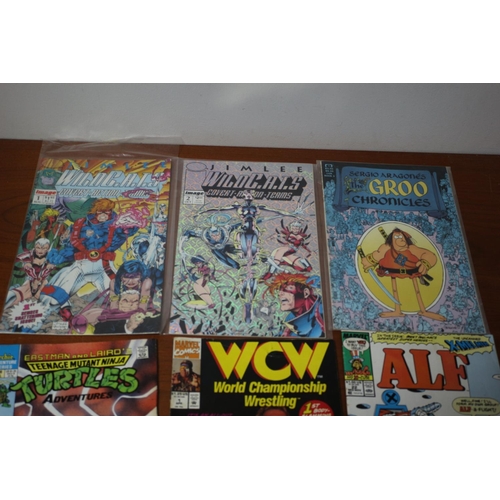 28 - Comics and Graphic Novels