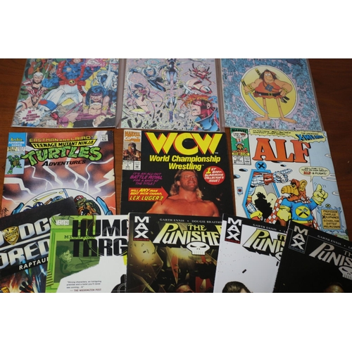 28 - Comics and Graphic Novels