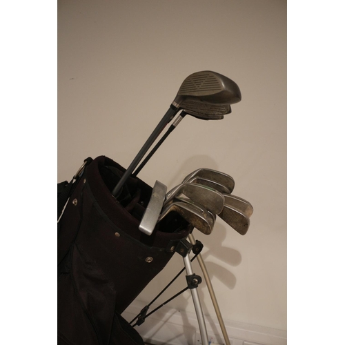 50 - Golf Clubs including Wilson and Cobra, In Bag