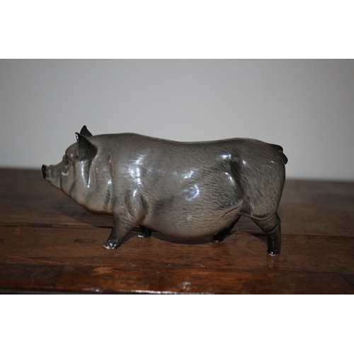 259 - Royal Doulton Pig