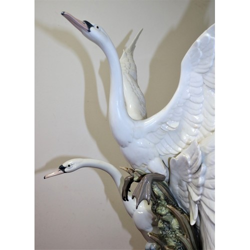 320 - Limited Edition Lladro Figure: Swans Take Flight.

This Stunning Porcelain Figurine Depicts Two Beau... 