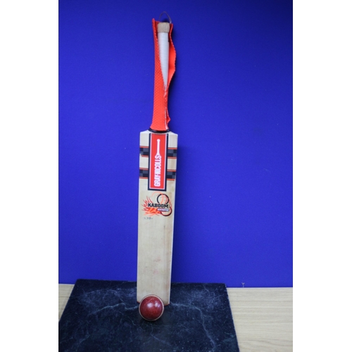 Gray Nicholls Kaboom Destroyer Size 5 Cricket Bat & Ball