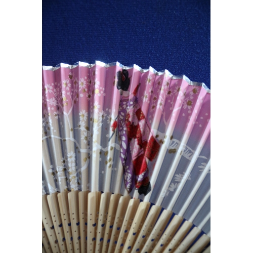 214 - Hand Painted Japanese Fan