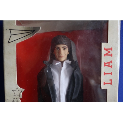 29 - One Direction Collectors Doll, Liam