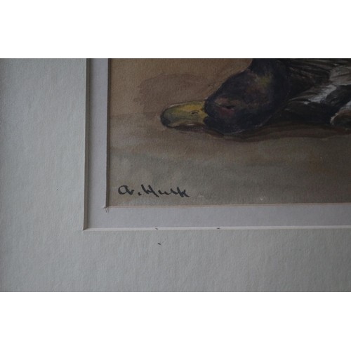 6 - Framed and Glazed Signed A.HULK Watercolour of Duck