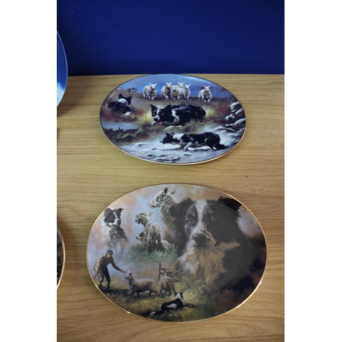 50 - Selection of Collector Plates