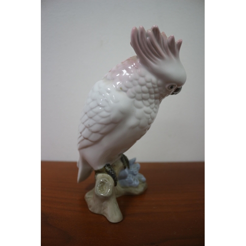 254 - Royal Dux, Vintage & Rare Cockatoo,18cm - Still With Original Triangular Label Attached