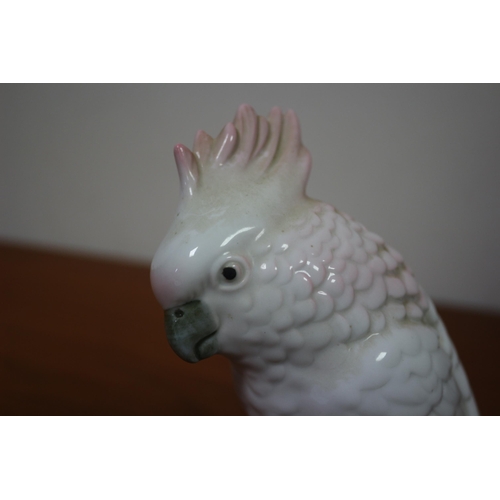 254 - Royal Dux, Vintage & Rare Cockatoo,18cm - Still With Original Triangular Label Attached