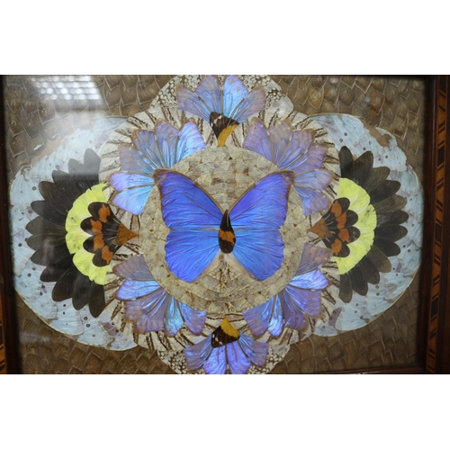 302 - Late Victorian / Early Edwardian Butterfly Wing Tray 53 wide x 34 high CM