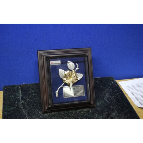 72 - Informed to be Pewter - Hibiscus Award - Malaysian National Flower in Frame