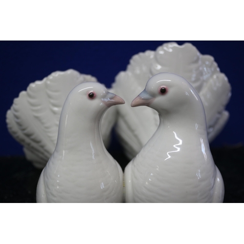 204 - Pair of Lladro Loving Doves - 12cm Tall