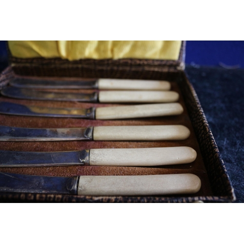 225 - Believed To Be Bone Handled Set of 6 Knives in Original Box