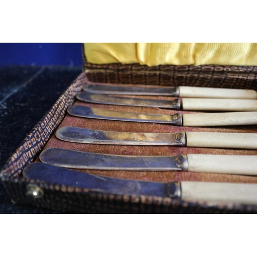 225 - Believed To Be Bone Handled Set of 6 Knives in Original Box