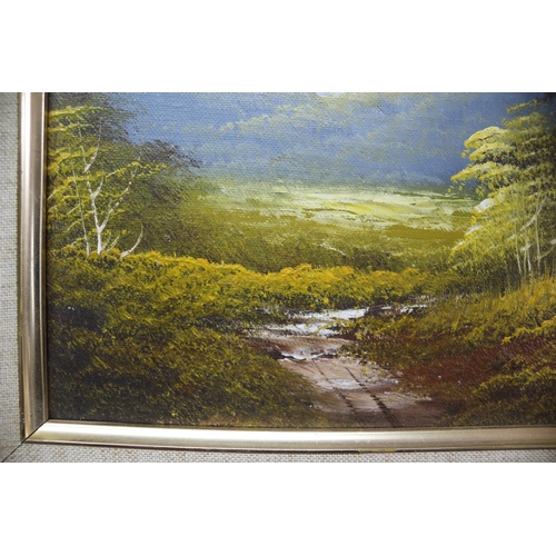 245 - Ornate Framed Oil on Canvas of a Mountain Scene Signed by H. Lupas - 35 x 30cm