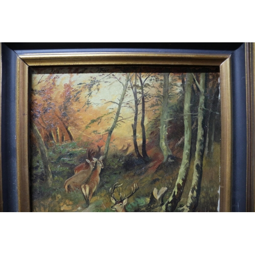 278 - Framed and Mounted Mid Century Oil on Board Painting of Deer in Woodland - Signed W. Ruske & Dated 1... 