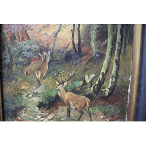 278 - Framed and Mounted Mid Century Oil on Board Painting of Deer in Woodland - Signed W. Ruske & Dated 1... 