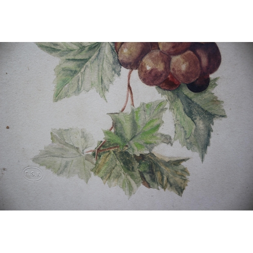 280 - Competition Stamped E.S.K. Watercolour of Grapes on a Vine on Board - Unsigned