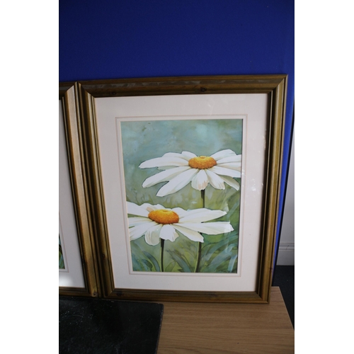 511 - 2 Large Floral Prints, 49cm x 62cm