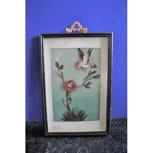 584 - Boxed Frame of Bird Feeding Babies, Made from Feathers 23.5cm