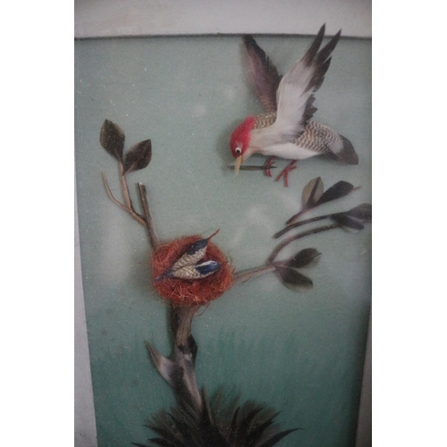 584 - Boxed Frame of Bird Feeding Babies, Made from Feathers 23.5cm