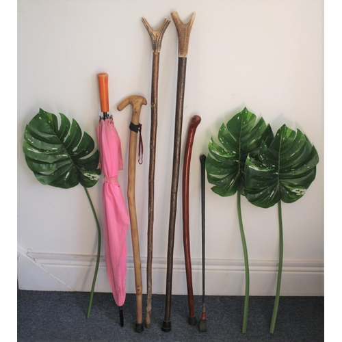 4 - Collection of Walking Sticks, 2 with Antler Horn Handles, Umbrella and Some Large Plastic Leaves