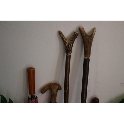 4 - Collection of Walking Sticks, 2 with Antler Horn Handles, Umbrella and Some Large Plastic Leaves