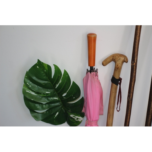 4 - Collection of Walking Sticks, 2 with Antler Horn Handles, Umbrella and Some Large Plastic Leaves