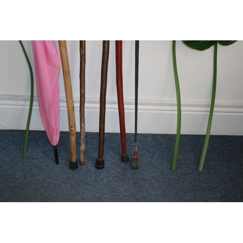 4 - Collection of Walking Sticks, 2 with Antler Horn Handles, Umbrella and Some Large Plastic Leaves