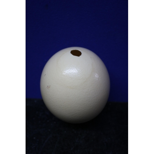 118 - Hand Painted Ostrich Egg with African Village Scene