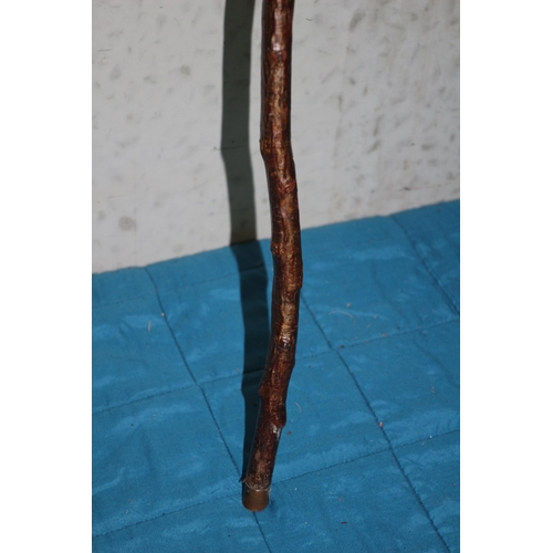 135 - Vintage Shepherds Crook Walking Stick