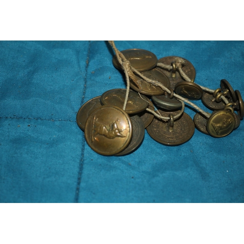 141 - Set of Livery Brass Buttons 47 Warwickshire Regiment - Originally Belonging to Thornley - Firmin & S... 