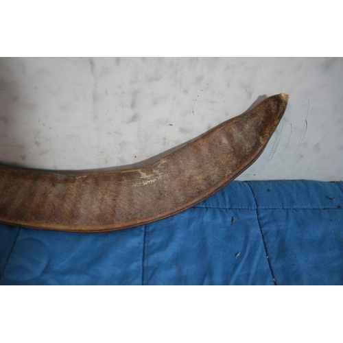 153 - Aged Large Pecay Seed Pod - 33cm