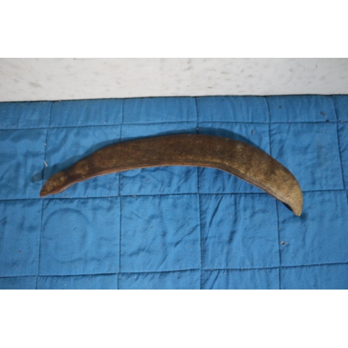 153 - Aged Large Pecay Seed Pod - 33cm