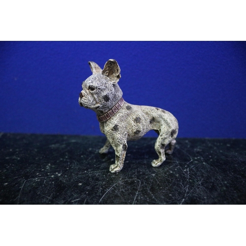 20 - A Franz Bergmann Cold Painted Bronze French Bulldog - 9cm