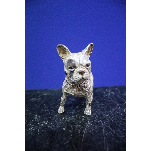 20 - A Franz Bergmann Cold Painted Bronze French Bulldog - 9cm