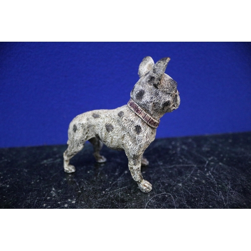 20 - A Franz Bergmann Cold Painted Bronze French Bulldog - 9cm