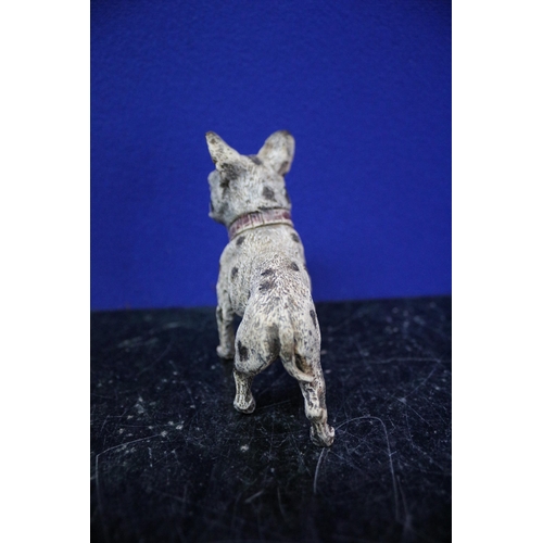 20 - A Franz Bergmann Cold Painted Bronze French Bulldog - 9cm