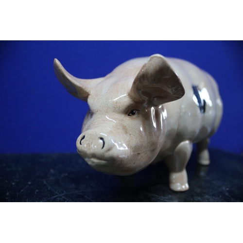 9 - A Large Ceramic Gloucester Old Spot Curly Tail Pig - 29 x 15cm