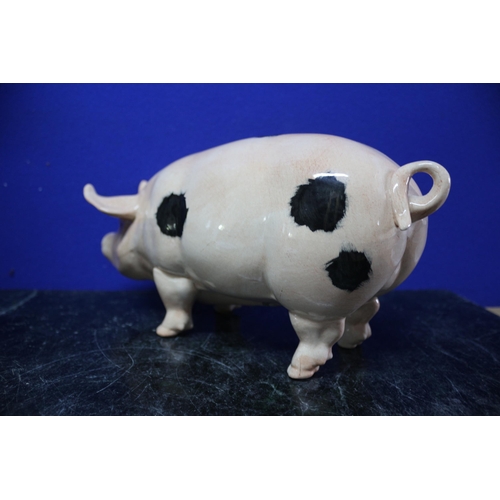 9 - A Large Ceramic Gloucester Old Spot Curly Tail Pig - 29 x 15cm