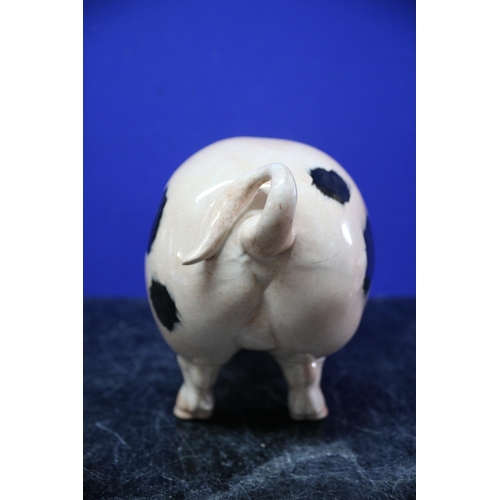 9 - A Large Ceramic Gloucester Old Spot Curly Tail Pig - 29 x 15cm