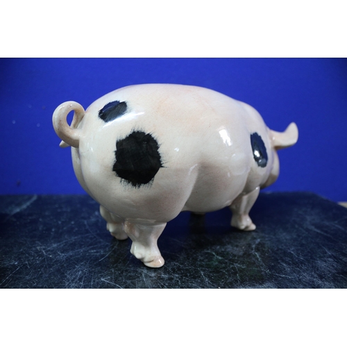 9 - A Large Ceramic Gloucester Old Spot Curly Tail Pig - 29 x 15cm