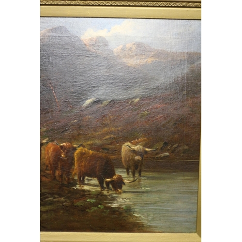 51 - Large 19th Century English School Oil on Canvas of Highland Cattle Scene - Indistinguishably Signed ... 