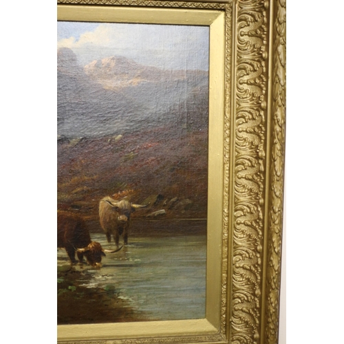 51 - Large 19th Century English School Oil on Canvas of Highland Cattle Scene - Indistinguishably Signed ... 